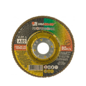 LUGA Диск лепестковый торцевой (125х22) P60